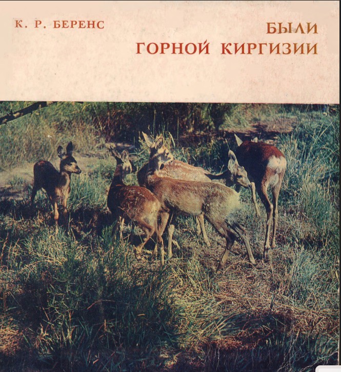 Были горной Киргизии