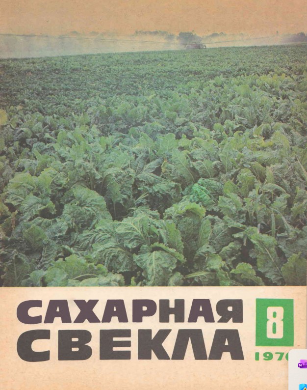 Сахарная свекла 8/1976
