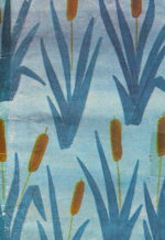 Саякатчы бака